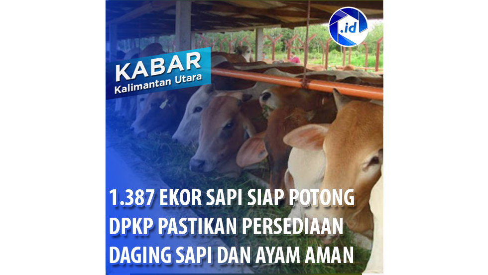 1.387 Ekor Sapi Siap Potong, DPKP Pastikan Persediaan Daging Sapi dan Ayam Aman