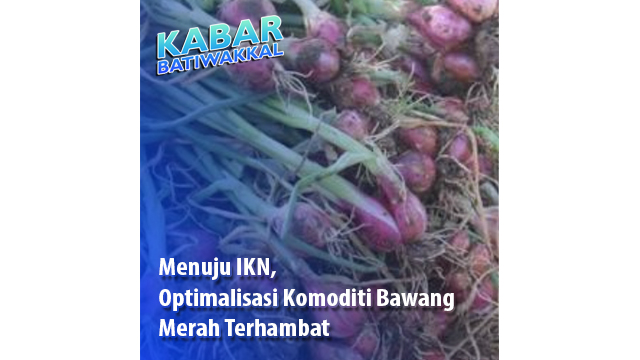 Menuju IKN, Optimalisasi Komoditi Bawang Merah Terhambat