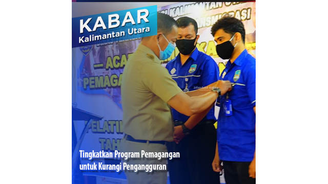 Tingkatkan Program Pemagangan untuk Kurangi Pengangguran