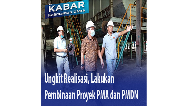 Ungkit Realisasi, Lakukan Pembinaan Proyek PMA dan PMDN