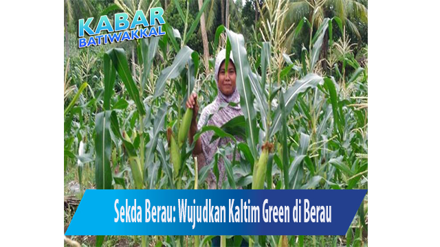 Sekda Berau: Wujudkan Kaltim Green di Berau