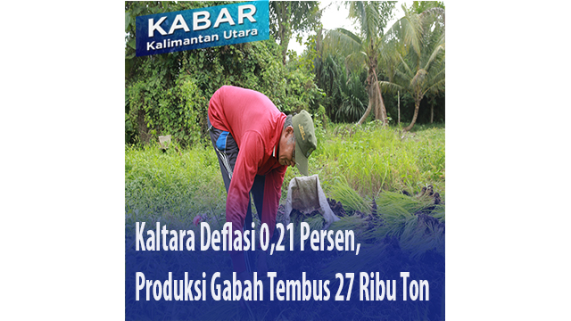 Kaltara Deflasi 0,21 Persen, Produksi Gabah Tembus 27 Ribu Ton