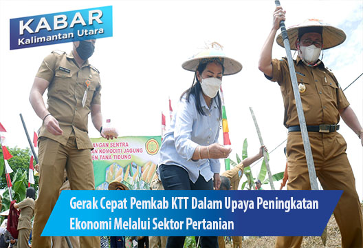 Gerak Cepat Pemkab Tana Tidung Dalam Upaya Peningkatan Ekonomi Melalui Sektor Pertanian