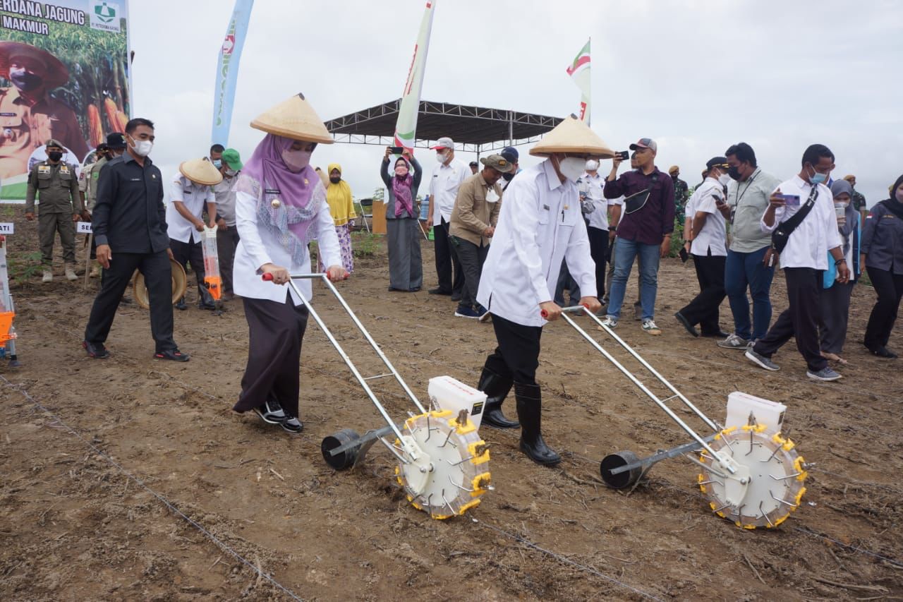 Pertanian Lahan Kering Mendominasi, Namun Belum Bisa Diandalkan