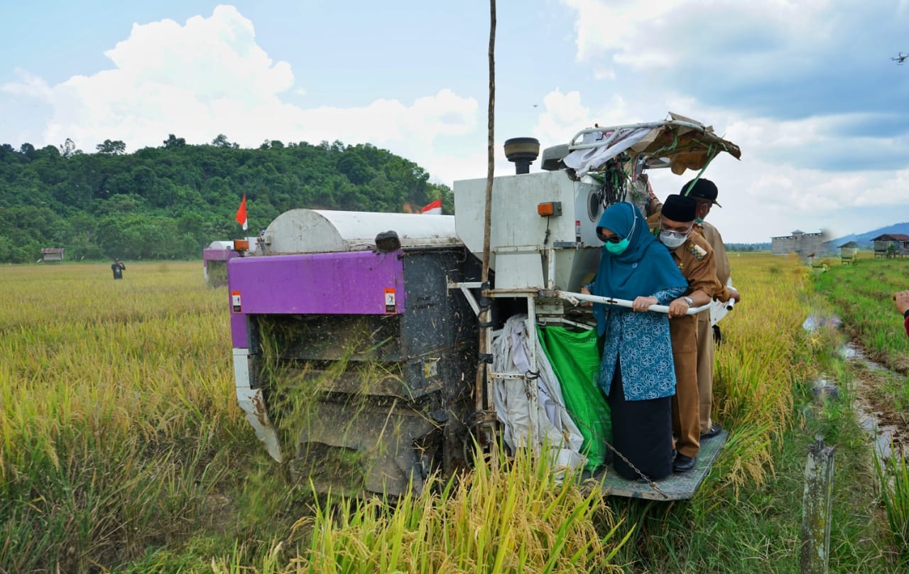 Petani Di Kampung Buyung-Buyung Bakal Difasilitasi Lumbung