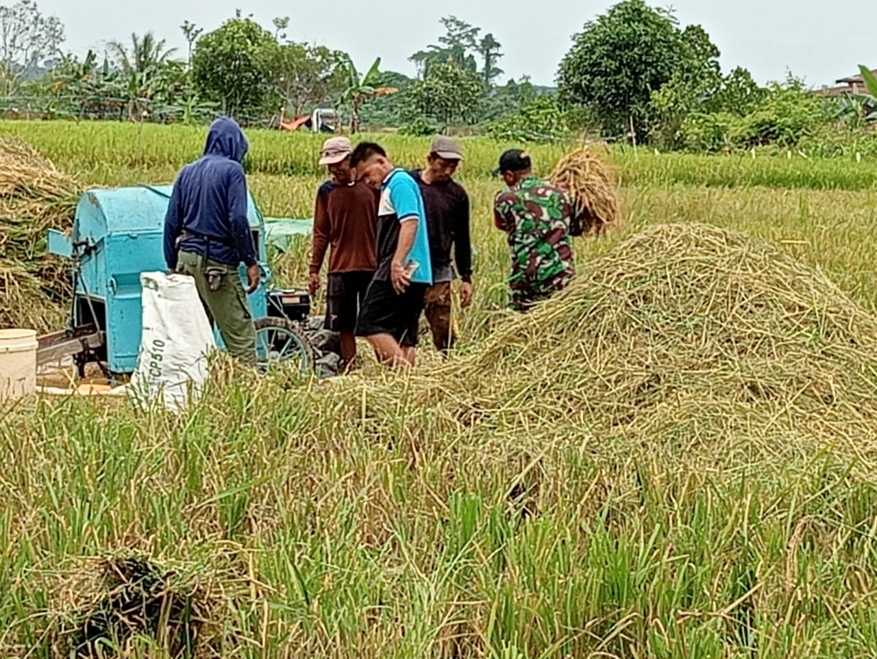 Target Sentra Pangan Harus Mendapat Perhatian Serius