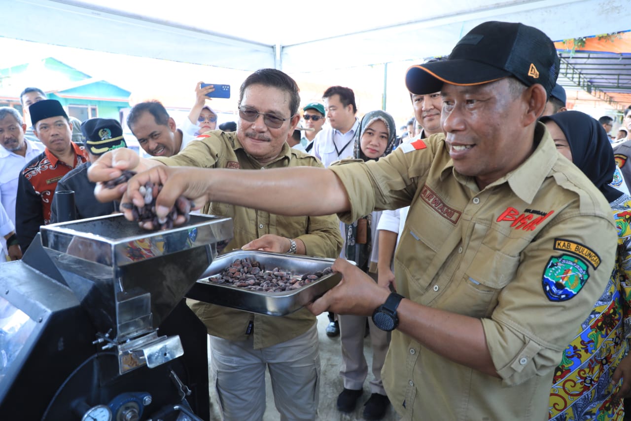 Dewan Dorong Optimalisasi Budidaya Kakao di Bulungan