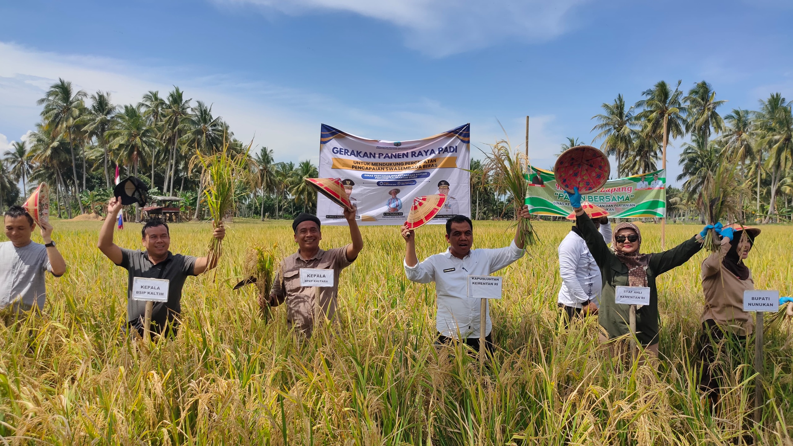 Pemprov Gelar Panen Raya Bersama Gapoktan Mamminasae Sebatik